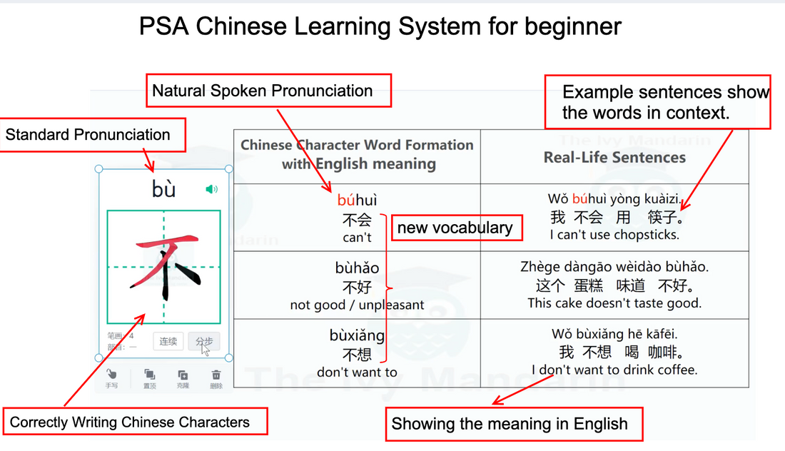 What's the Best Way to Learn Chinese Characters as an Adult?