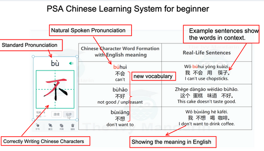 What's the Best Way to Learn Chinese Characters as an Adult?